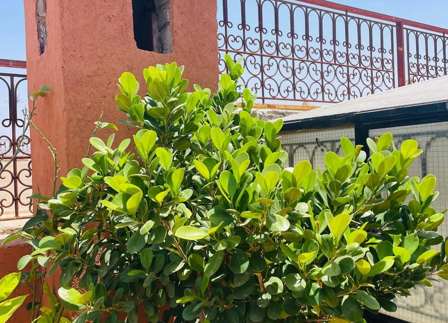 Riad ms holiday’s privatisé 8 personnes - avec terrasse Marrakesh 0*,
