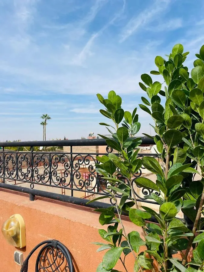 아파트 Riad Ms Holidays Terrasse Privatise Marrakech 마라케시