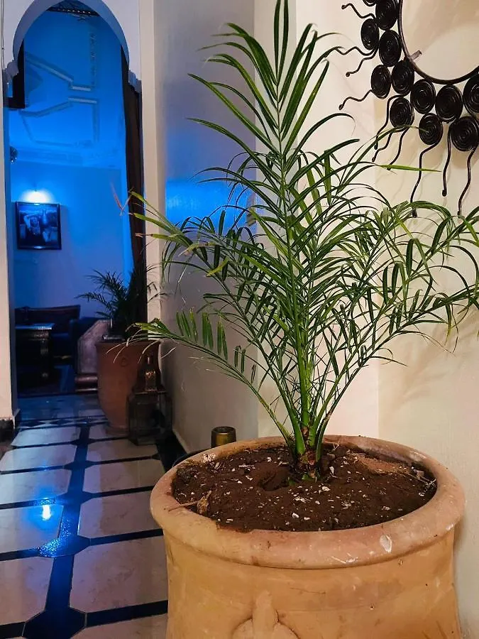 Riad Ms Holidays Terrasse Privatise Marrakech 마라케시 아파트