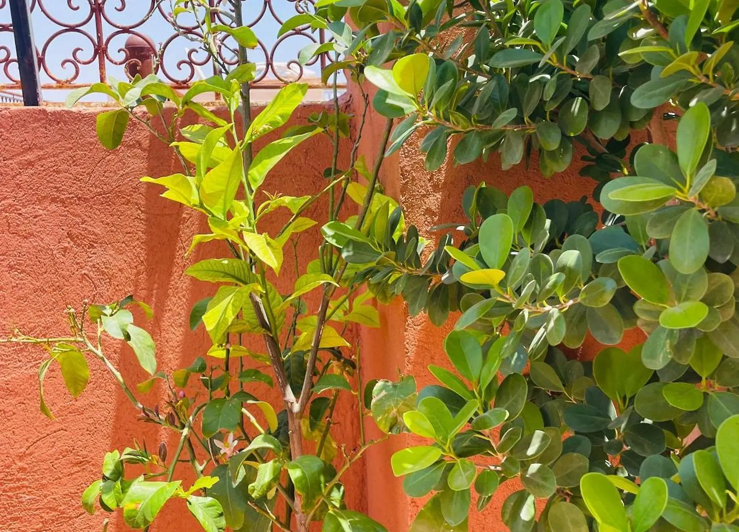 Apartment Riad Ms Holidays Terrasse Privatise Marrakech Marrakesh Morocco