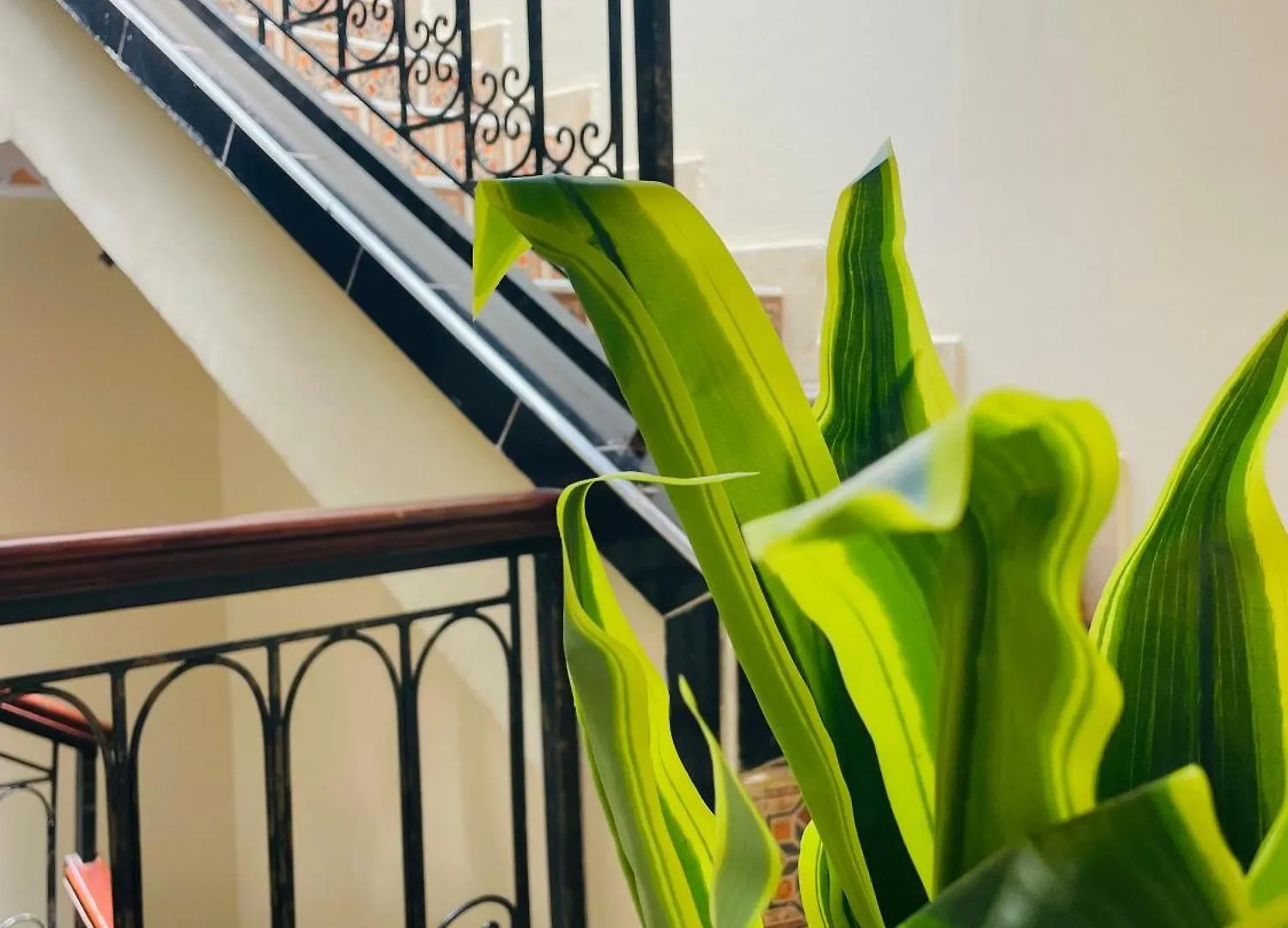 Apartment Riad Ms Holidays Terrasse Privatise Marrakech Marrakesh Morocco