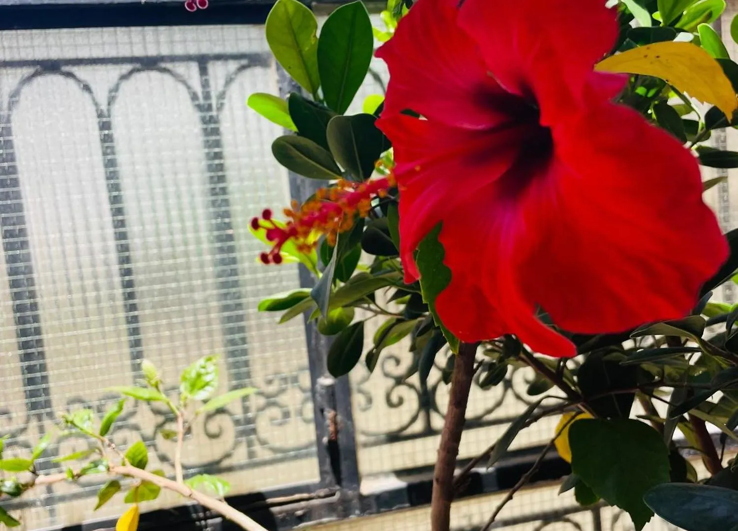 מרקש Riad Ms Holidays Terrasse Privatise Marrakech דירה